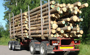 Учет транспортных средств на складах лесозаготовки